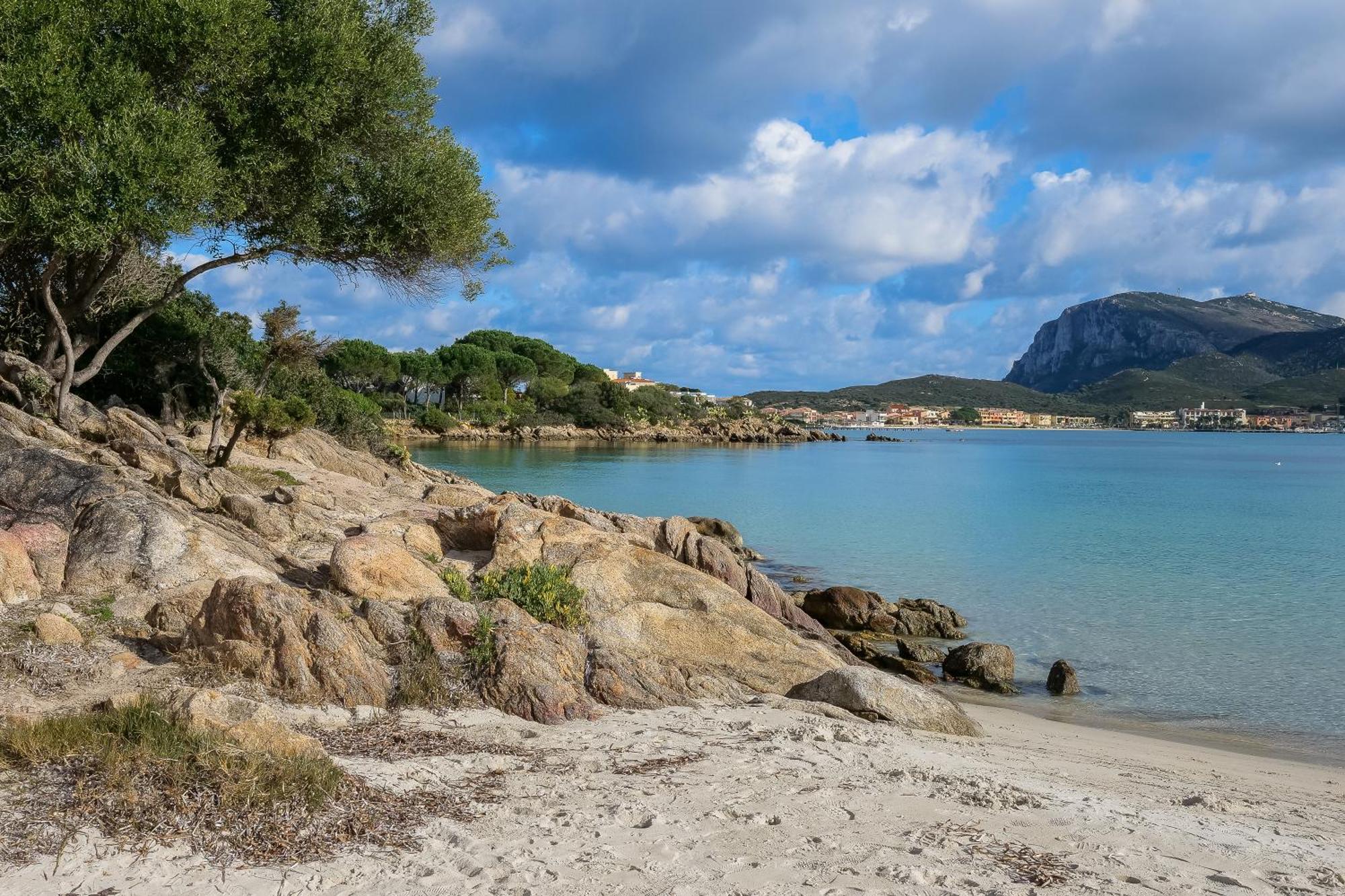 Orizzonti App N 23